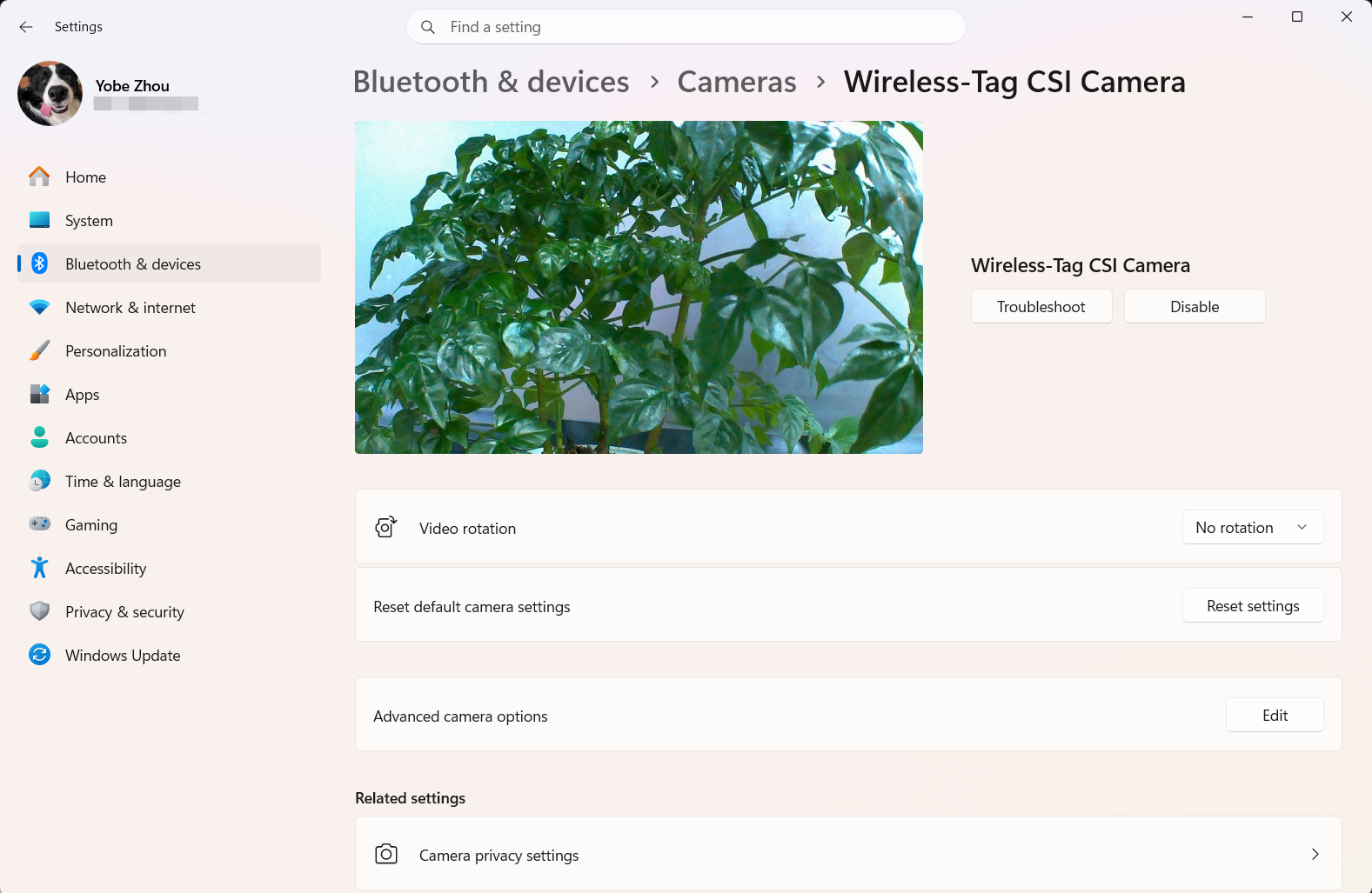 Windows 11 UVC camera preview