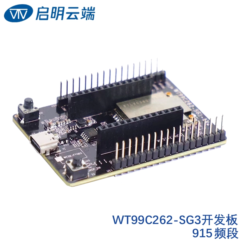 WT99C262-SG3